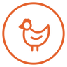 Free Range Chicken